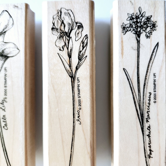 Stampin Up! Long Stemmed Rubber Stamp Set - Picture 4 of 7